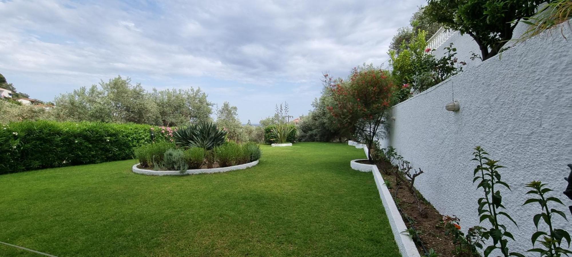 Olive Grove Studios Megali Ammos  Exterior foto